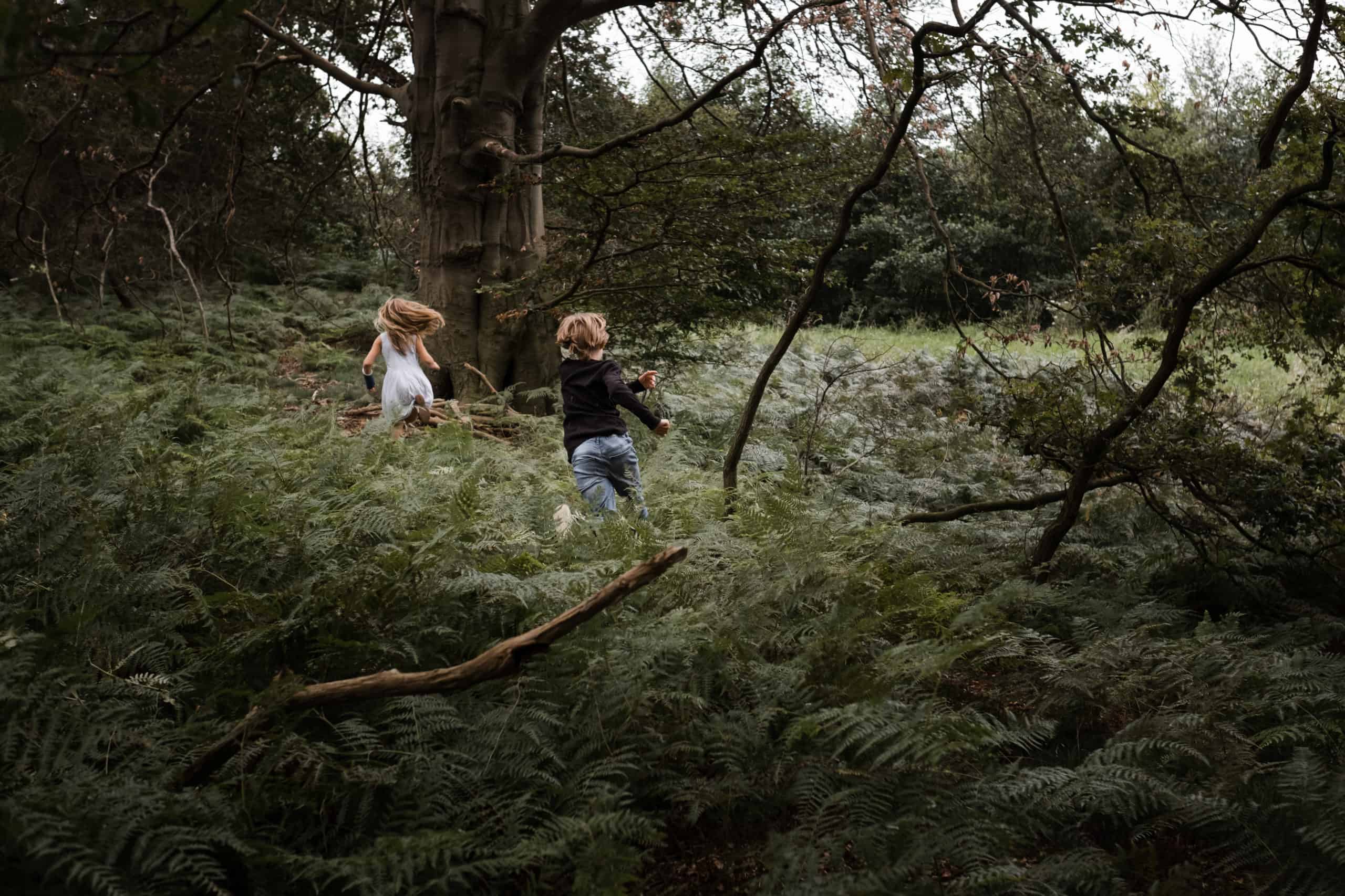 Preise Familienfotos Sulingen - Kinder laufen durch einen Wald in der Nähe von Sulingen