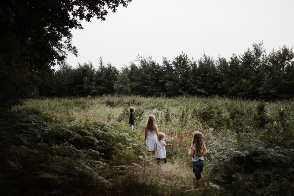 eine große Wiese , die umgeben von einem Wald ist, auf einem kleinen Pattweg geht ein Junge mit seinen 3 Schwestern, sie gehen hinterinander her
