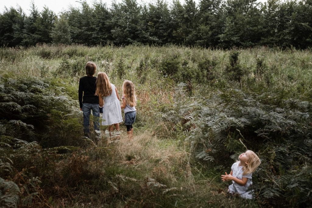 eine große Wiese , die umgeben von einem Wald ist, auf einem kleinen Pattweg steht ein Junge mit seinen 3 Schwestern, sie stehen beieinander und schauen in die Ferne, die kleinste Schwester steht abseits und schaut in den Himmel