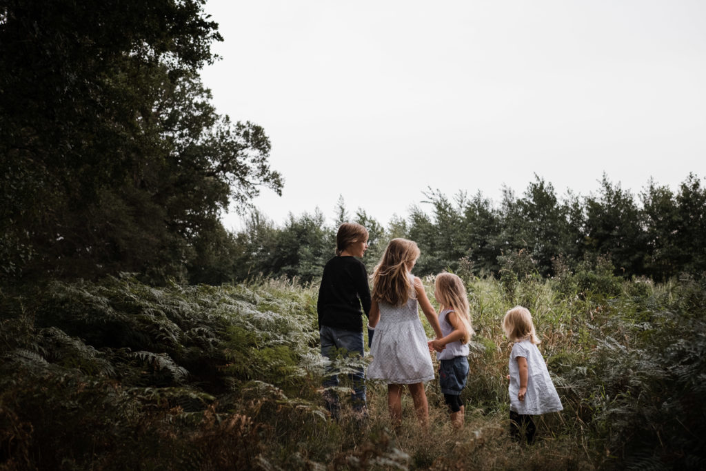 eine große Wiese , die umgeben von einem Wald ist, auf einem kleinen Pattweg steht ein Junge mit seinen 3 Schwestern, sie stehen zusammen