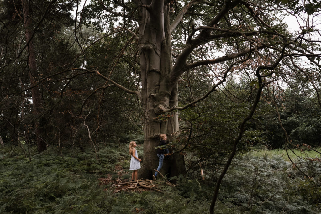ein großer Baum steht im Wald, ein Junge und ein Mädchen stehen vor ihm und schauen an ihm hoch