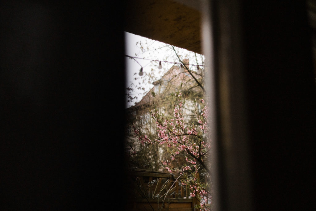 derBlick aus dem Fenster, es hängt eine Glühbirnen- Lichterkette draußen vor dem Fenster, es steht ein blühender Baum draußen vor dem Fenster
